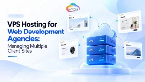 VPS Hosting for Web Development Agencies: Managing Multiple Client Sites